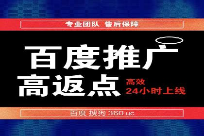 行业领先企业的SEM运营策略案例解析